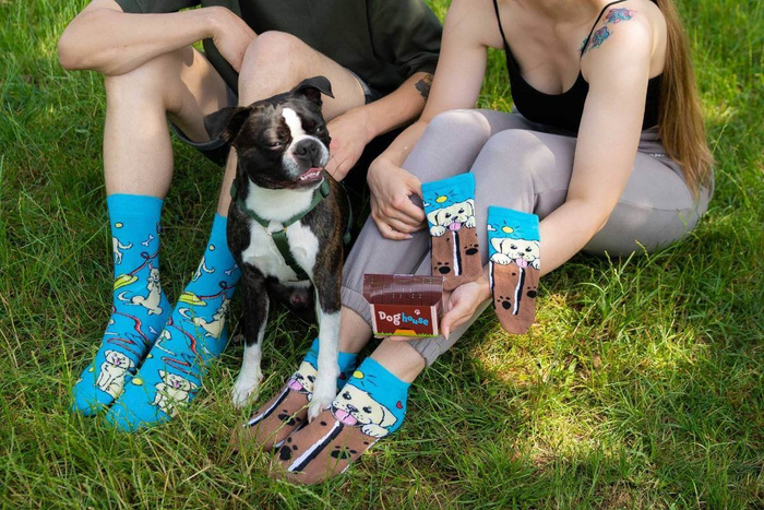 Hundehütte Socken Box 2 Paar