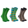 Reptilien Socken Box